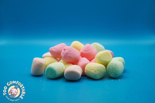 Freeze-Dried Fruit Flavored Marshmallows