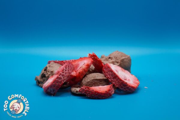 Freeze-Dried Chocolate Ice Cream with Strawberries